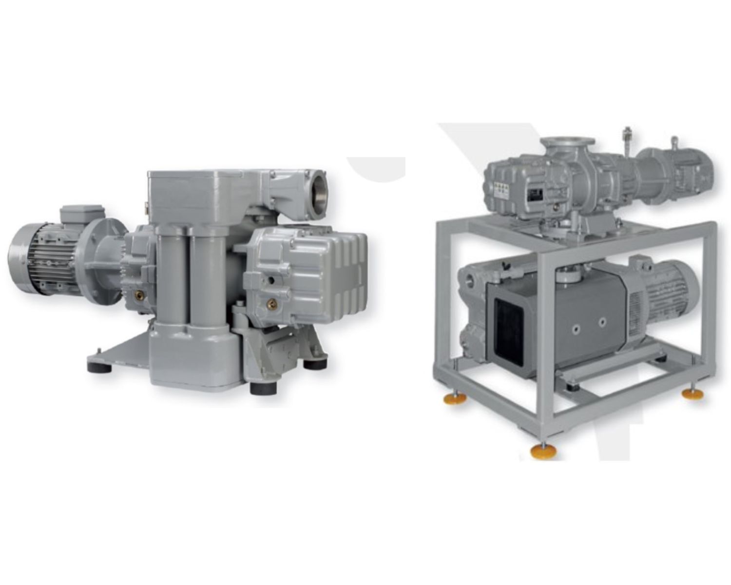 Dry and oil lubricated vacuum pumps